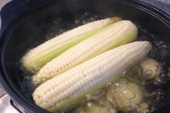 옥수수