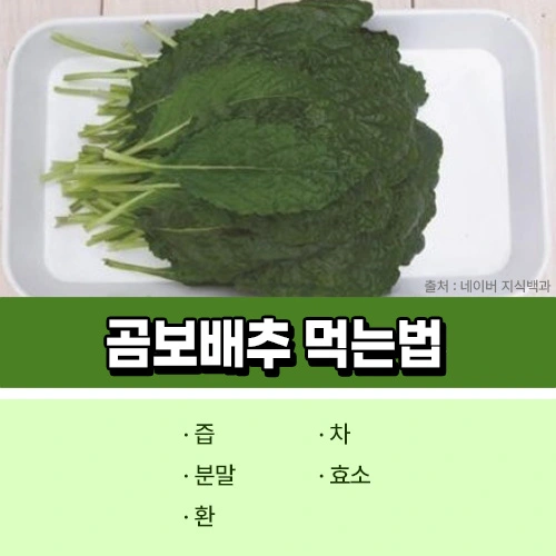 곰보배추 먹는법