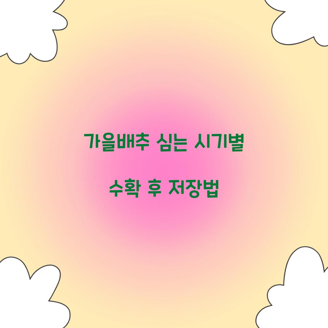가을배추 심는 시기별 수확 후 저장법