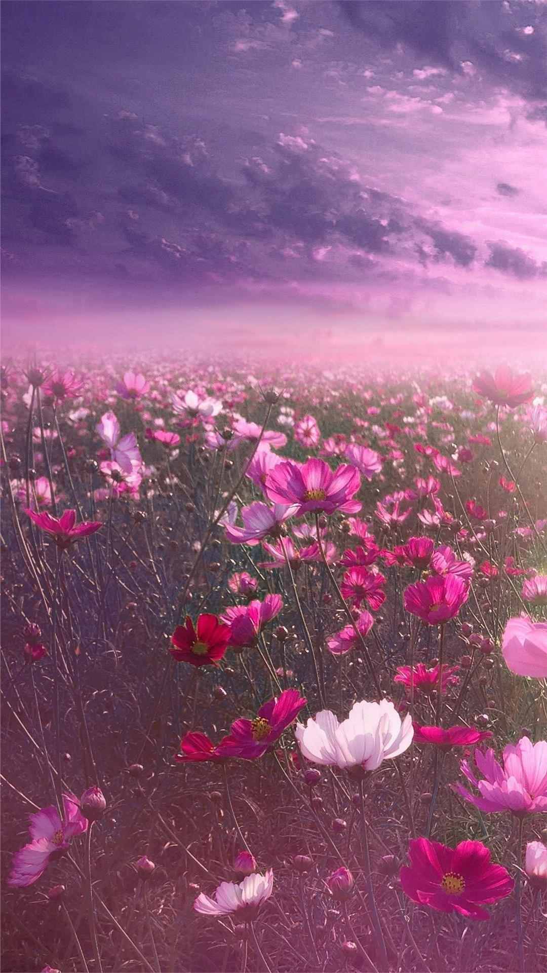 Flower wallpaper
