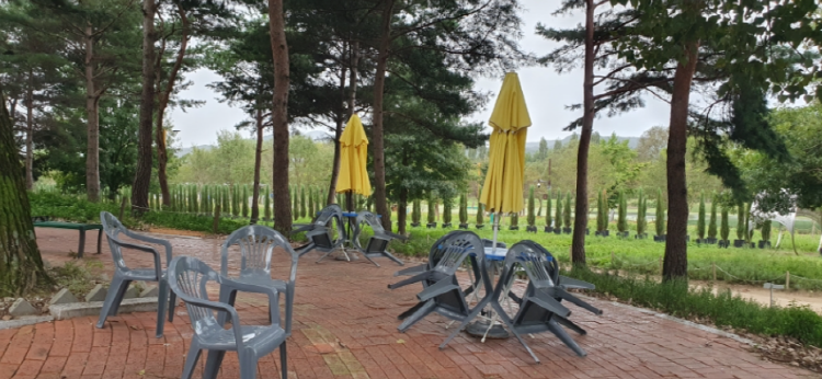 자라섬 꽃 페스타