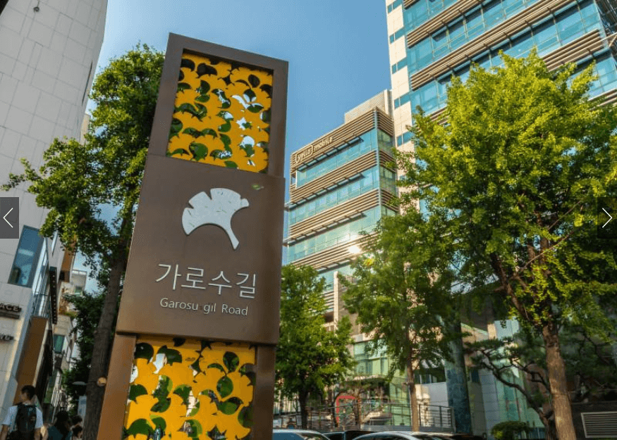 가로수길