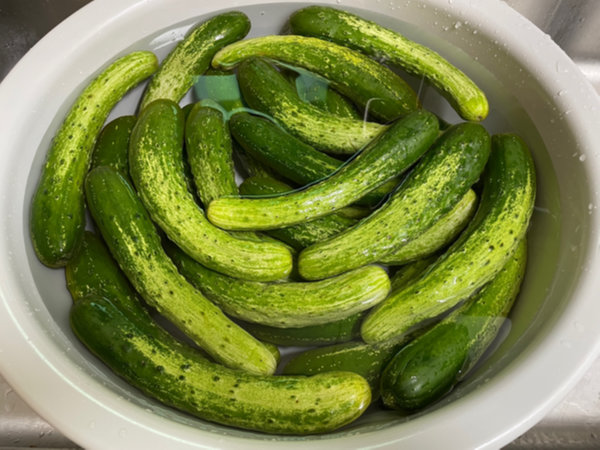 오이지 담그는 방법 - 오이 세척, 식초물