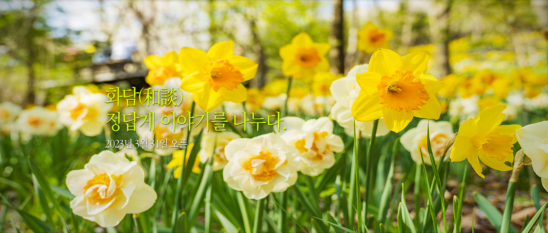 화담숲 예약 모노레일