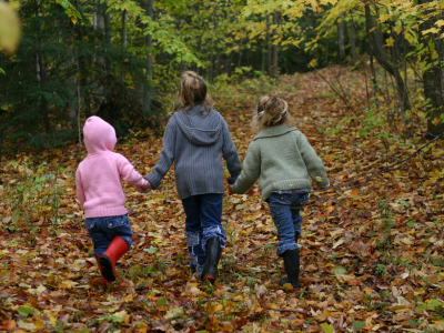 김수현방지법 청원 방법 링크 5만명돌파!