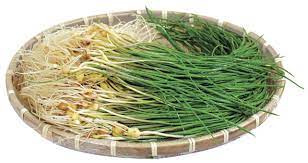 봄철 식욕을 돋우는 나물 달래