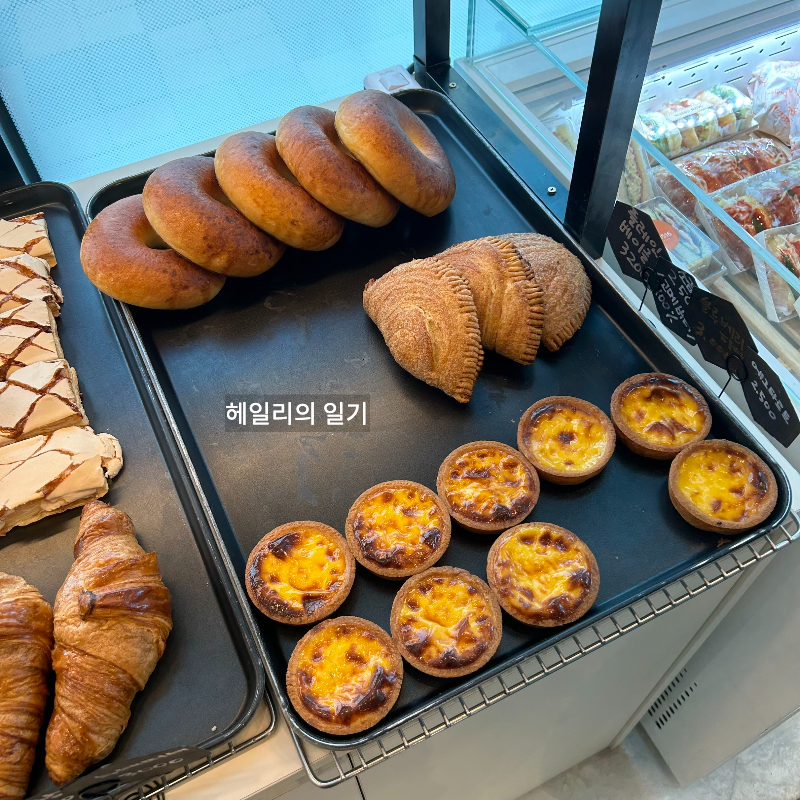 파이류