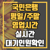 국민은행 영업시간 및 실시간 대기인원 확인팁 정보글 썸네일