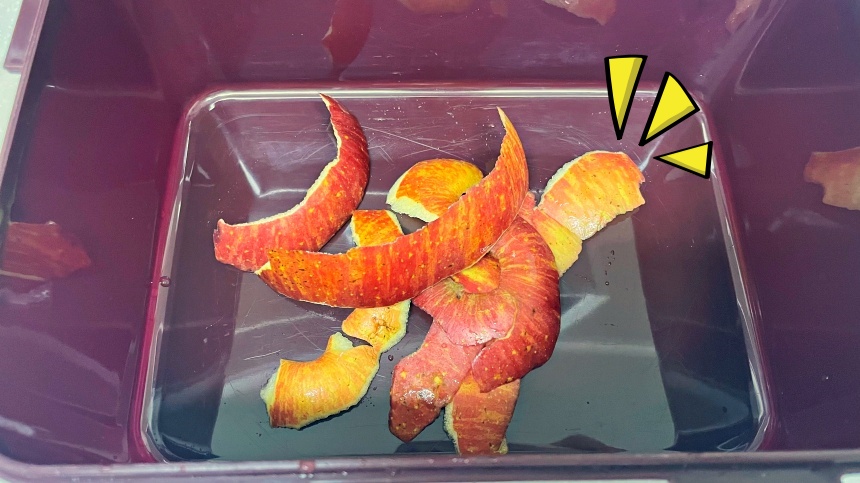 김치통-사과껍질-냄새제거