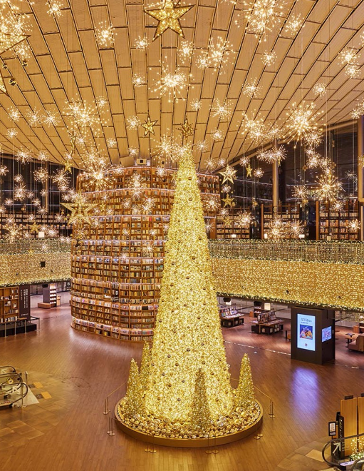 강남-코엑스-별마당-도서관