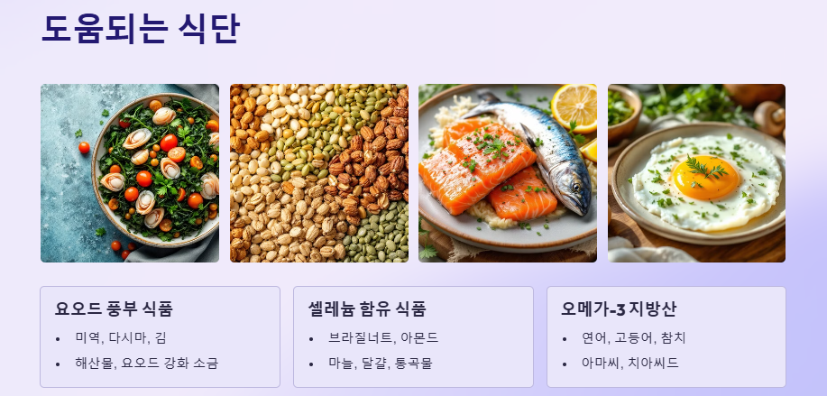 갑상선 기능 저하증: 증상, 원인, 자가진단, 치료법(좋은음식)