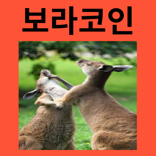 보라코인