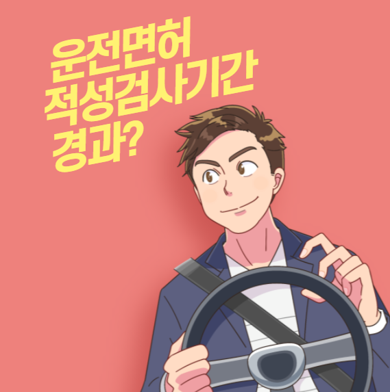 운전면허-적성기간-검사-경과