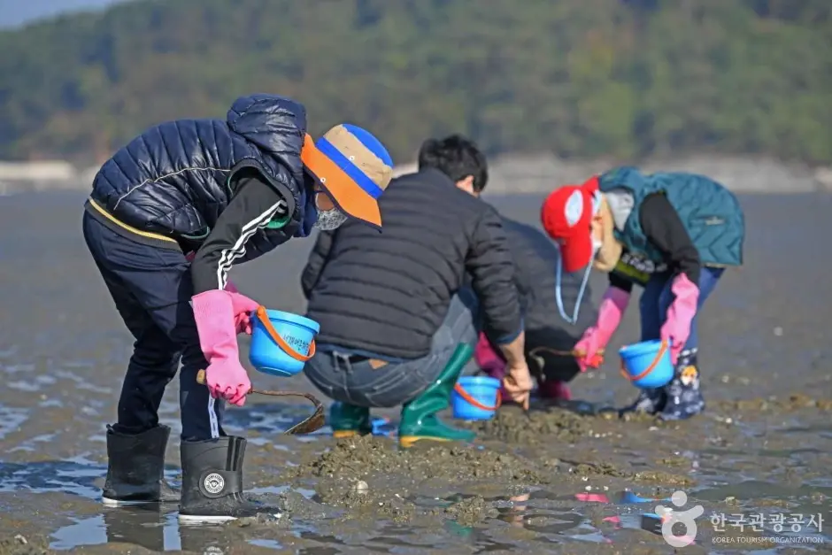 선재도