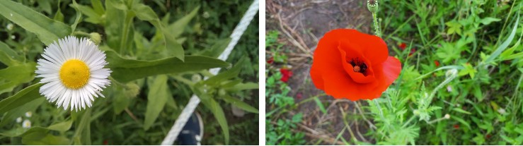 남양주-물의정원-사진