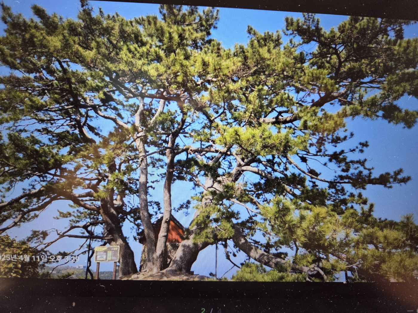 국수당_2025년 4월 11일