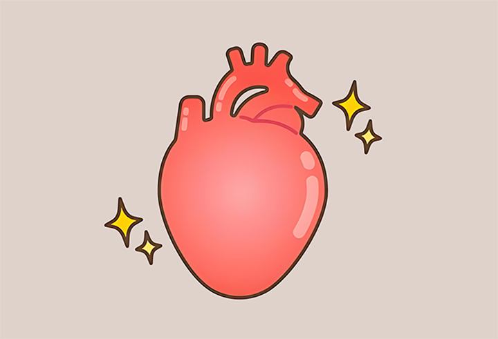 건강한-심장의-모습