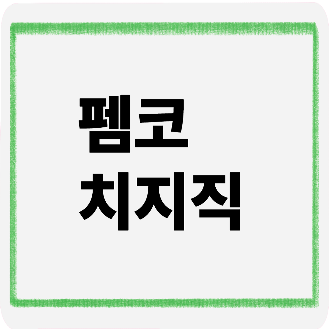 펨코치지직