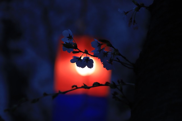 서울가든페스타기간일정