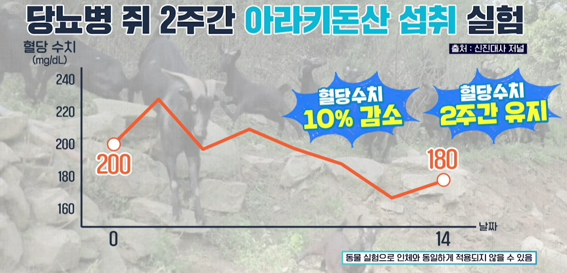 흑염소 진액 효능