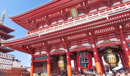 연쇄구균독성쇼크증후군 원인 증상 예방 치료