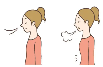 드로인