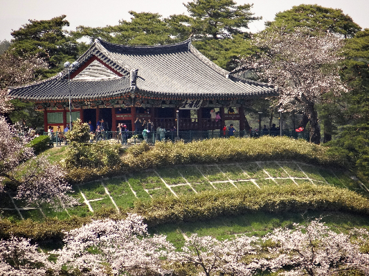 강릉 경포대