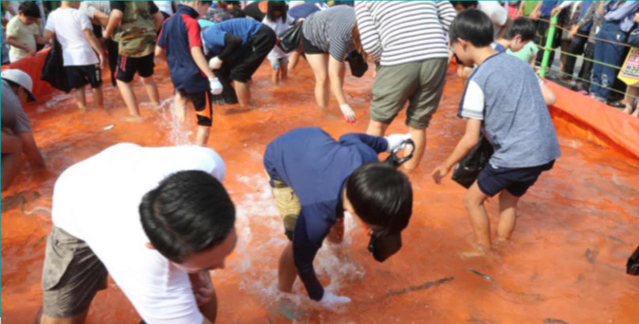 서천 홍원항 전어꽃게축제