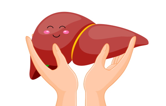 간보호