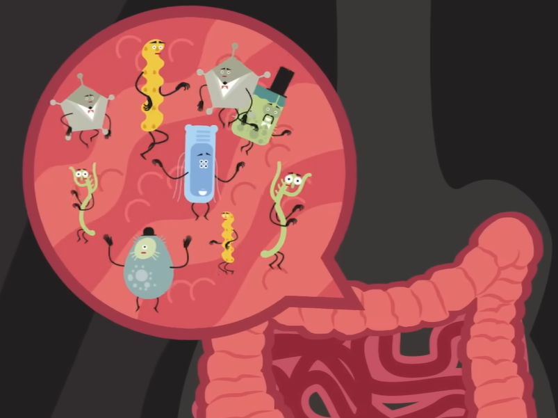 마이크로 바이옴이란