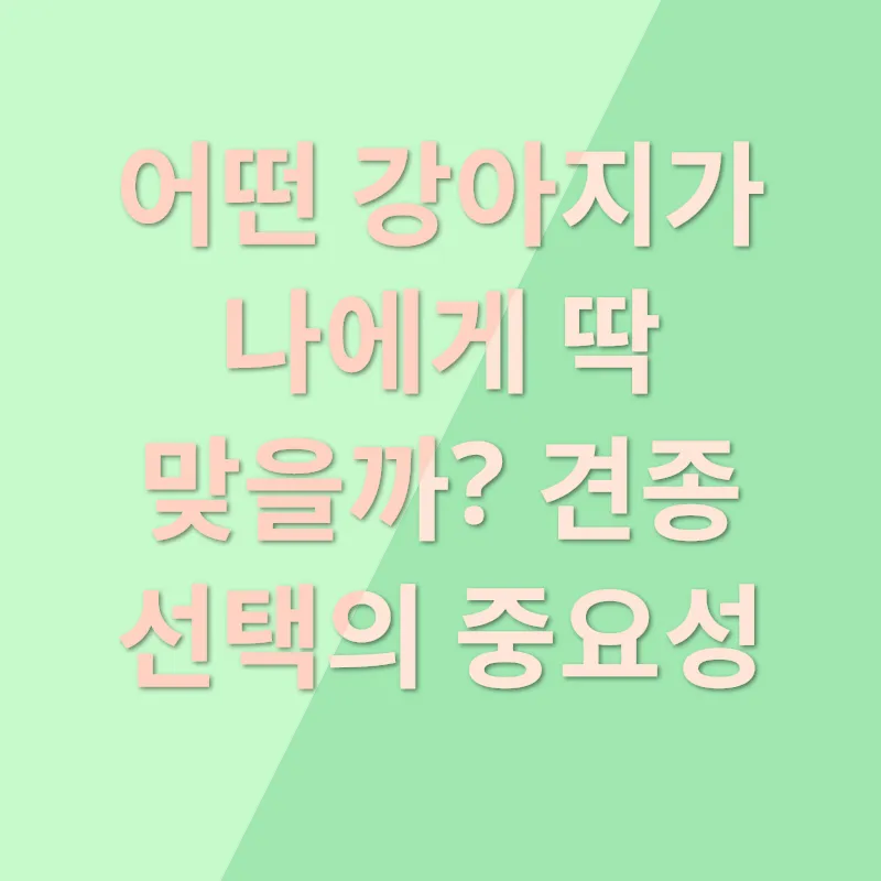 반려견 입양_1