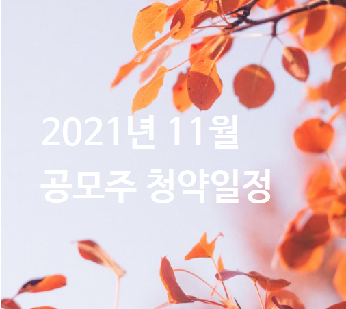 2021년-11월-공모주-청약-일정