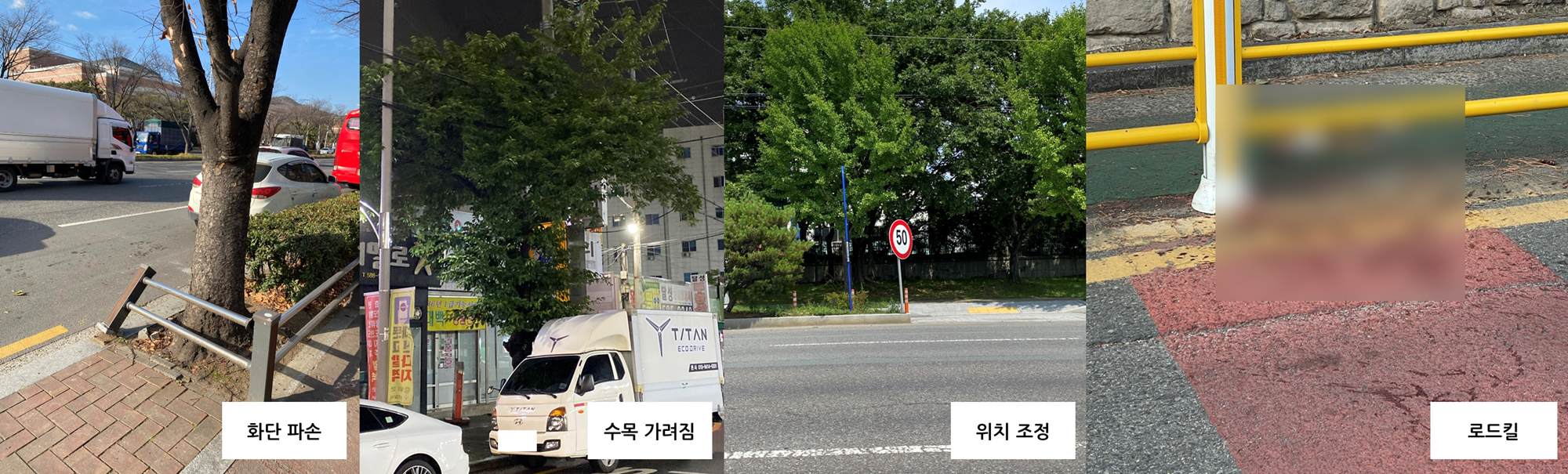 로드킬, 낙석 및 기타 사진