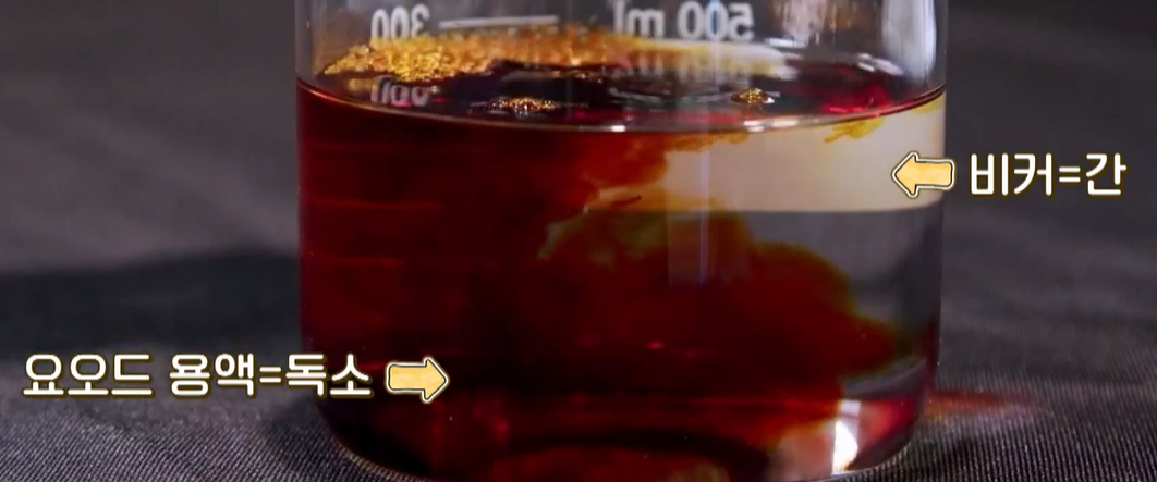 글루타치온 효능