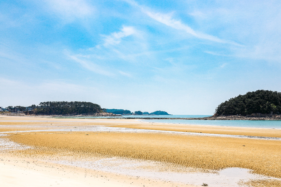 태안 가볼만한 곳
