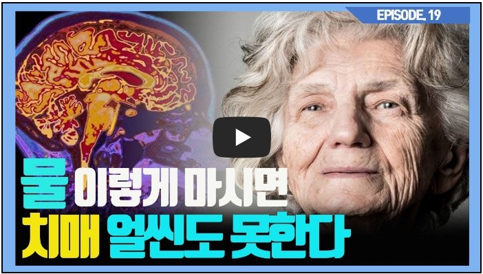 약사 유튜버 순위 TOP 10 4