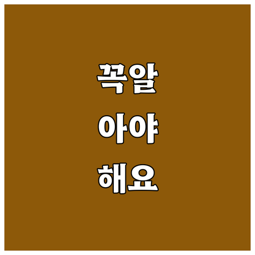 2025 중구 체육시설 이용료 감면 ..