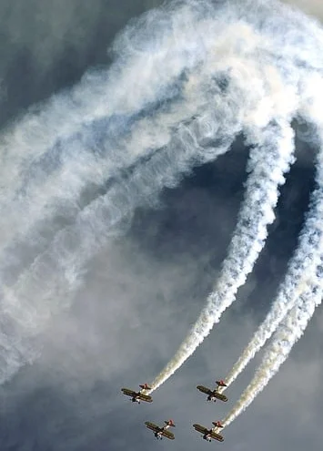 반려동물 행동교정사 자격증