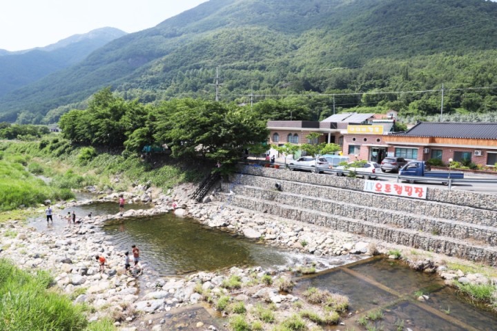 아이비캠프_전경