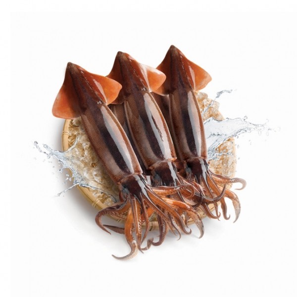 오징어 효능 및 부작용