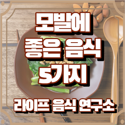 모발에 좋은 음식 5가지