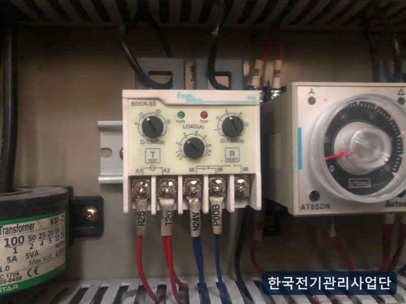사진 5