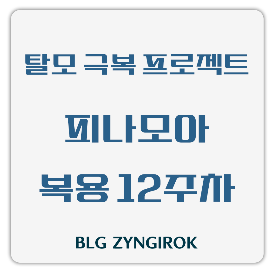 탈모 극복 프로젝트 - 피나모아 복용 12주차 썸네일 이미지이다.
