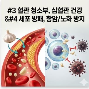 마늘 효능