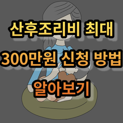 서울시 산후조리비 최대 300만원 신청 방법 알아보기