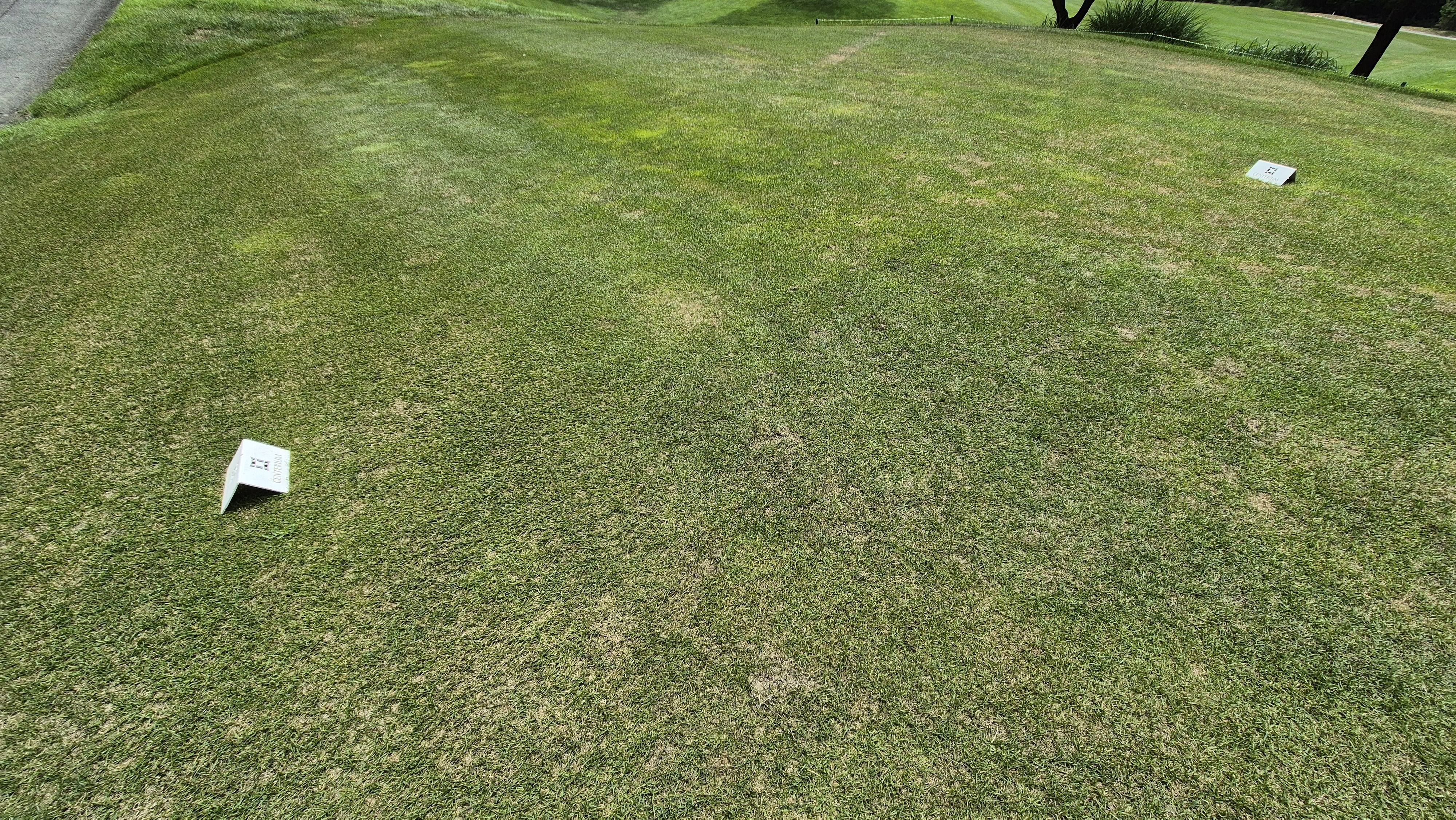 센테리움cc 스코틀랜드-웨일즈 코스 라운드 후기