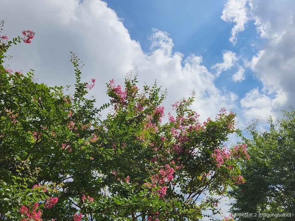 창원 가볼만한곳 베스트10