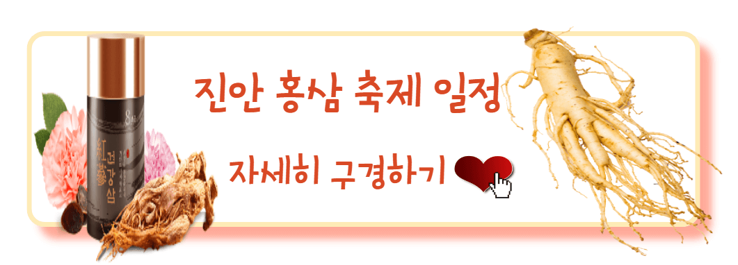 진안홍삼축제 구경하기1