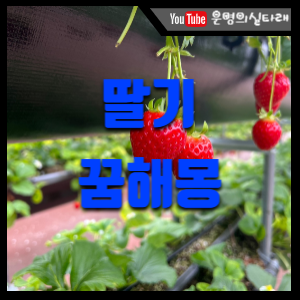 썸네일사진
