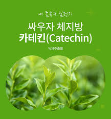탈모 치료 실비에라 녹차추출물의 탁월한 효과